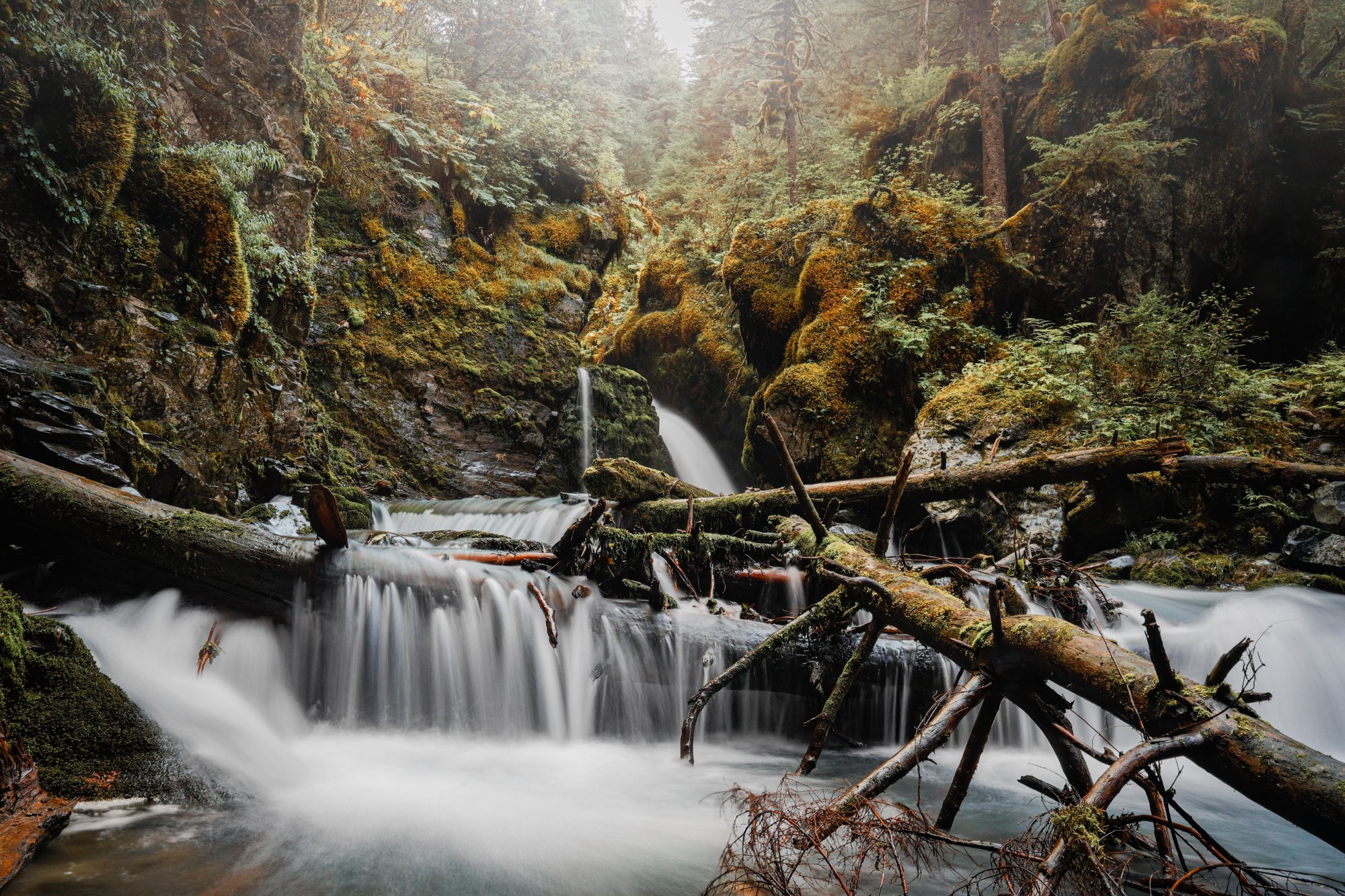Waterfall in mossy Alaska rainforest